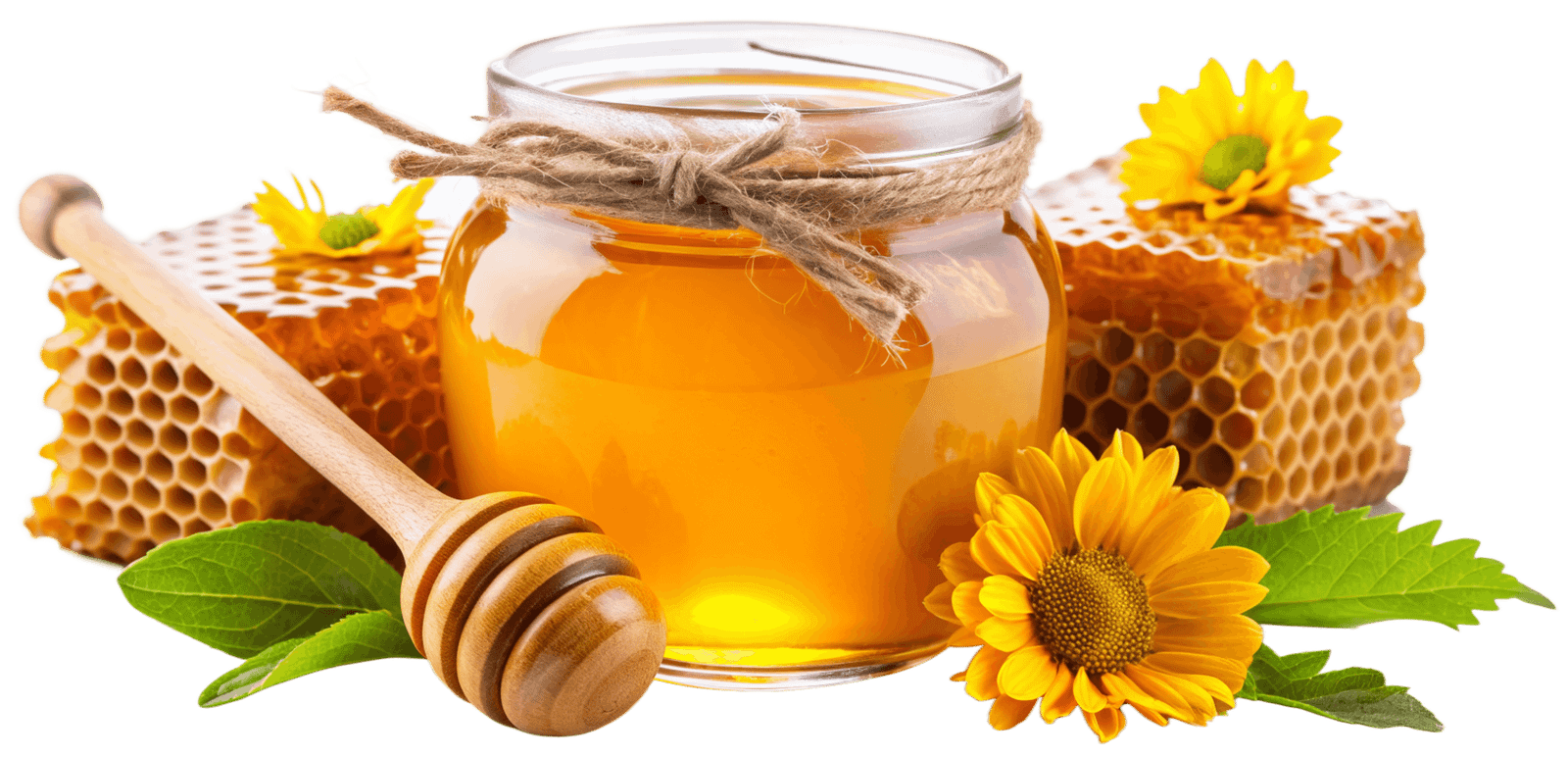 Organic Honey